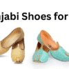 Punjabi Shoes for Men
